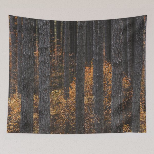 Item preview, Trees and gold autumn foliage designed and sold by Patrik Lovrin.