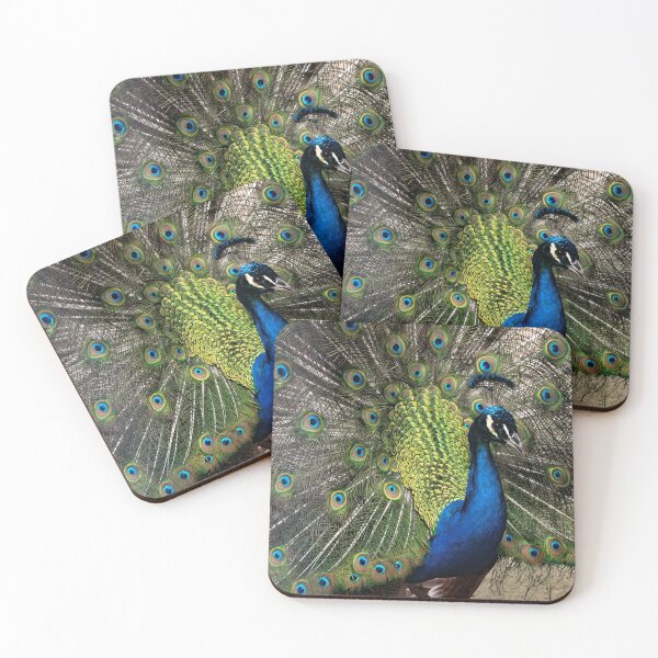 Item preview, Preening Peacock designed and sold by fotofusion.