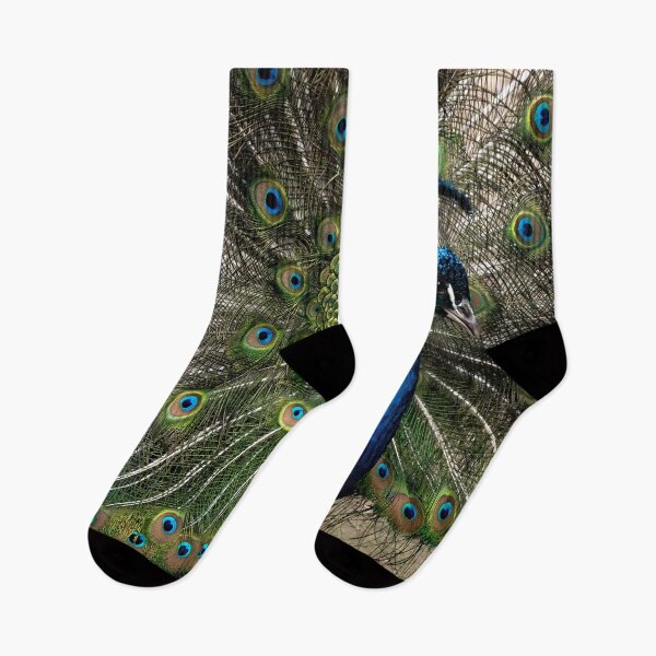 Item preview, Preening Peacock designed and sold by fotofusion.