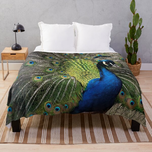 Item preview, Preening Peacock designed and sold by fotofusion.