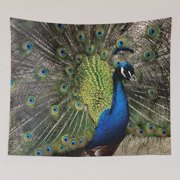 Item preview, Preening Peacock designed and sold by fotofusion.