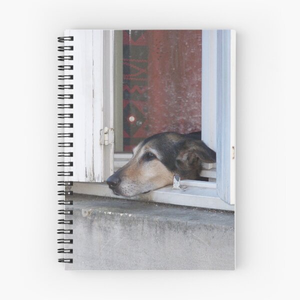 Item preview, Lonely dog designed and sold by Boscastle.