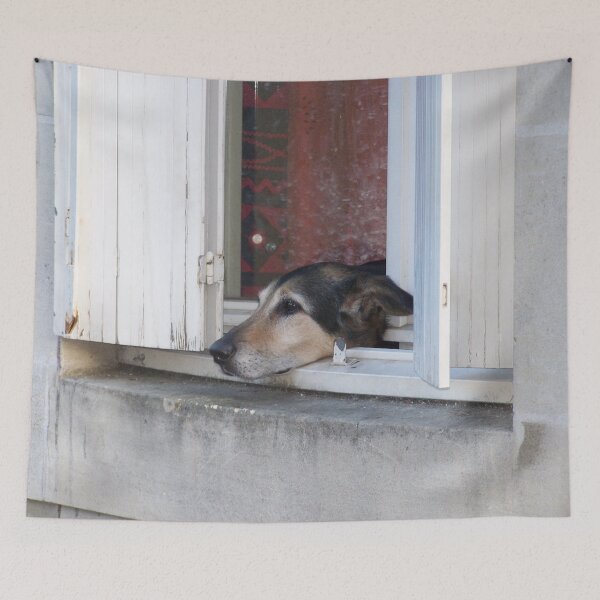 Item preview, Lonely dog designed and sold by Boscastle.