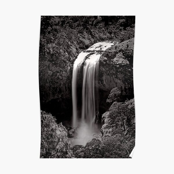 Long Drop - Ebor Falls - NSW - Australia Poster