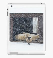 Winter Snow on Sheep Coque et skin iPad