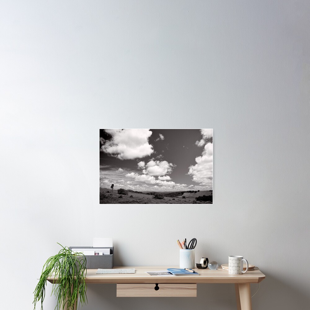 Valley of Clouds - Dorrigo - NSW - Australia Poster