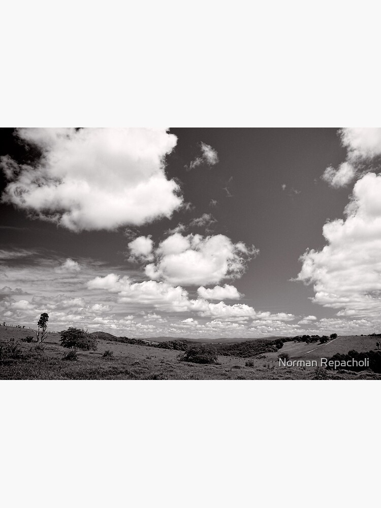 Valley of Clouds - Dorrigo - NSW - Australia by keystone