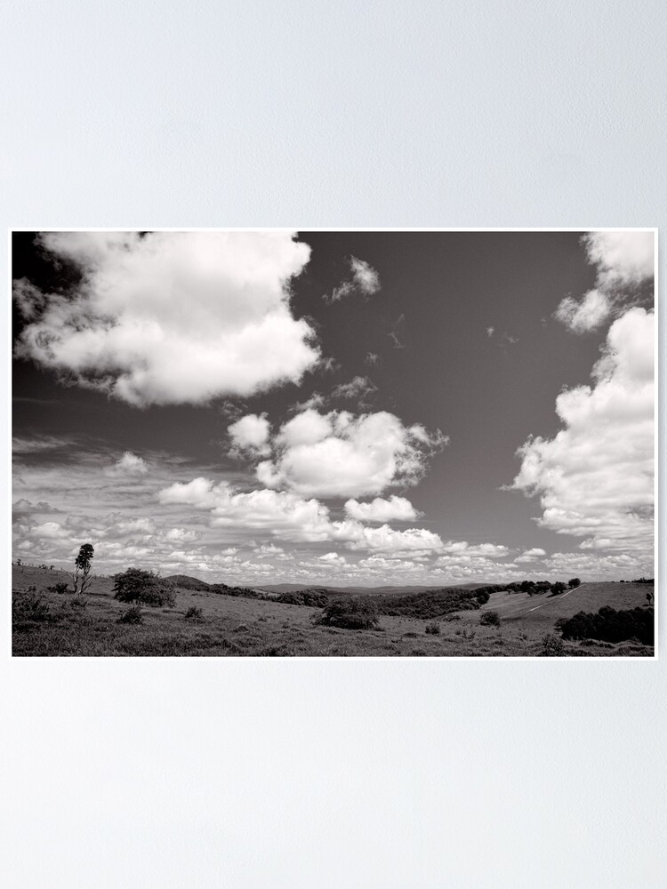 Alternate view of Valley of Clouds - Dorrigo - NSW - Australia Poster
