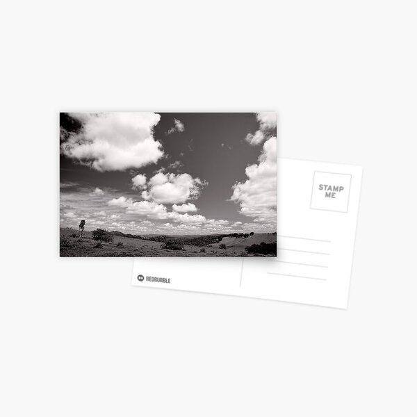 Valley of Clouds - Dorrigo - NSW - Australia Postcard