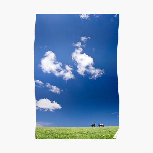 Equine Companions Poster