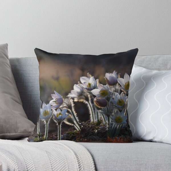 Item preview, Pulsatilla vernalis designed and sold by Irina777.