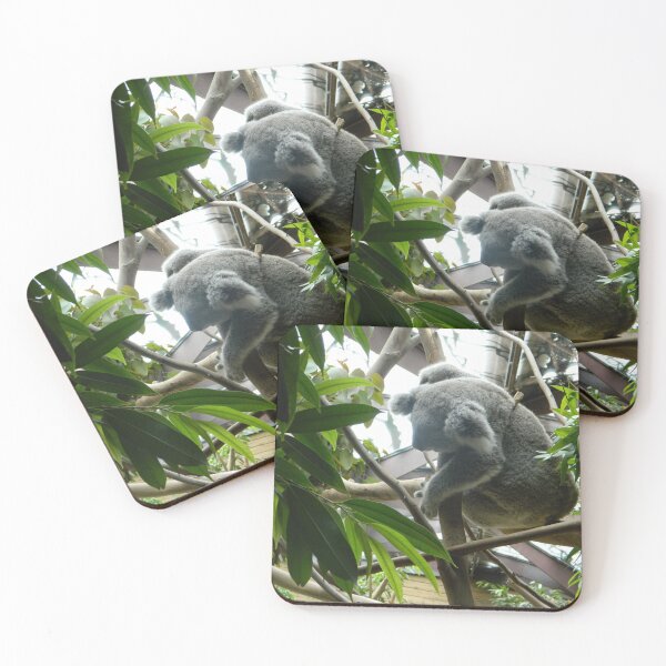 Item preview, sleep as Koala designed and sold by Eikia.