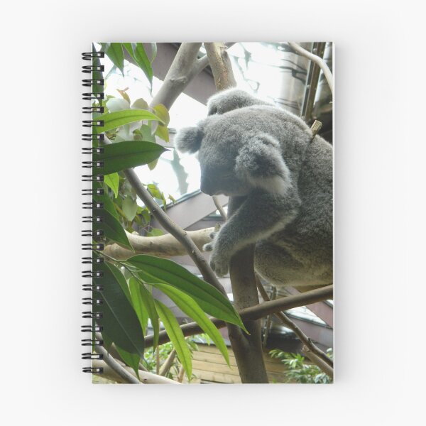 Item preview, sleep as Koala designed and sold by Eikia.