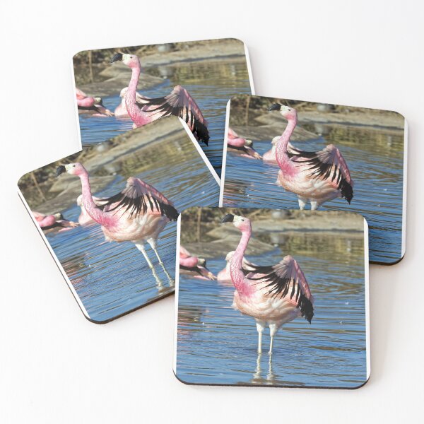 Item preview, Greater Flamingo (Phoenicopterus roseus) designed and sold by Andy Harker.