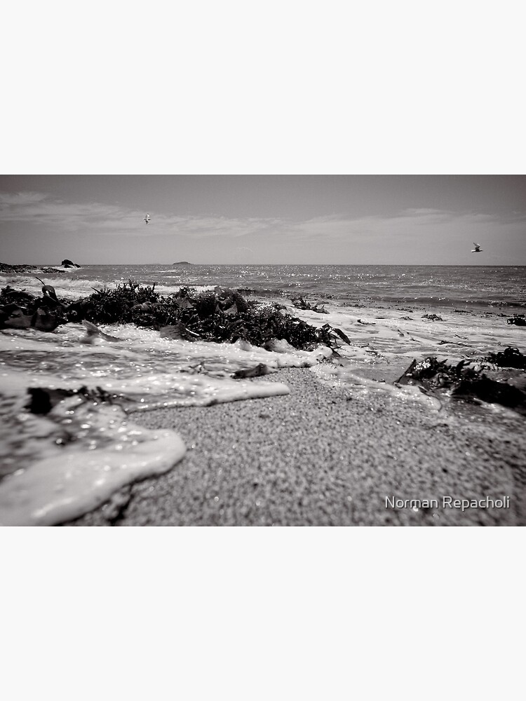 All washed up - Korora - NSW - Australia by keystone