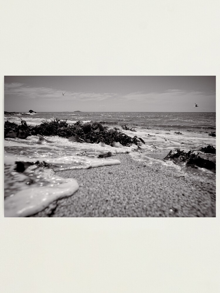 Alternate view of All washed up - Korora - NSW - Australia Photographic Print