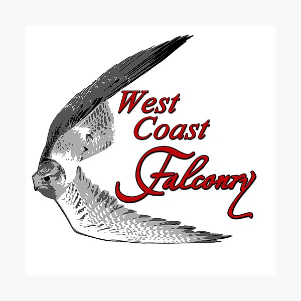 West Coast Falconry Photographic Print