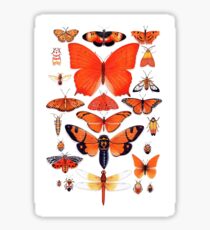 Orange Insect Collection Sticker