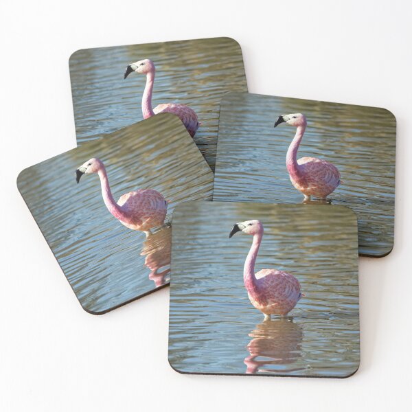 Item preview, Greater Flamingo (Phoenicopterus roseus) designed and sold by Andy Harker.