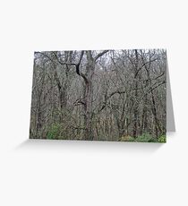 Is It Middle Earth? Greeting Card