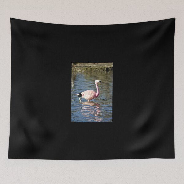 Item preview, Greater Flamingo (Phoenicopterus roseus) designed and sold by Andy Harker.