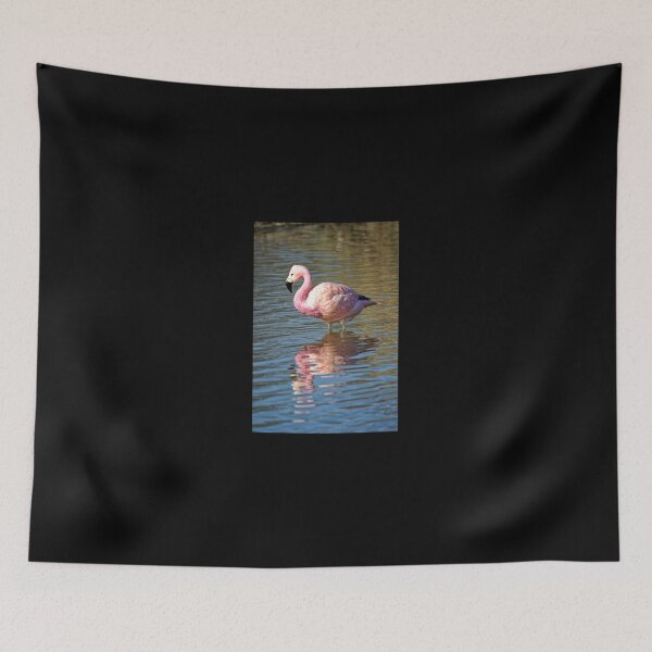 Item preview, Greater Flamingo (Phoenicopterus roseus) designed and sold by Andy Harker.