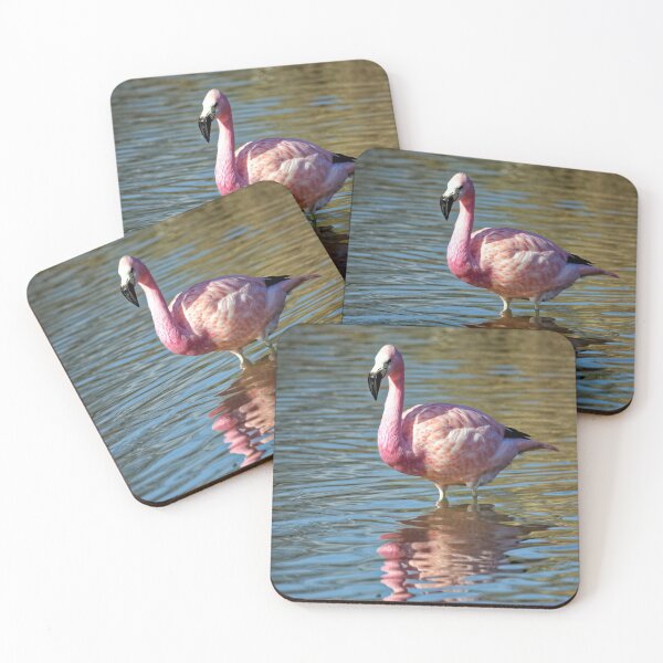 Item preview, Greater Flamingo (Phoenicopterus roseus)  designed and sold by Andy Harker.