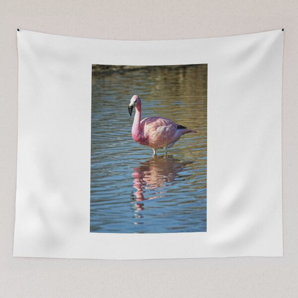 Item preview, Greater Flamingo (Phoenicopterus roseus)  designed and sold by Andy Harker.