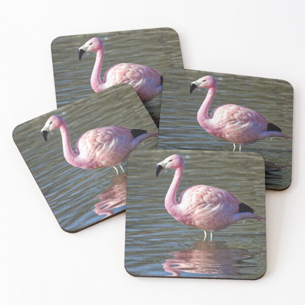 Item preview, Greater Flamingo (Phoenicopterus roseus) designed and sold by Andy Harker.