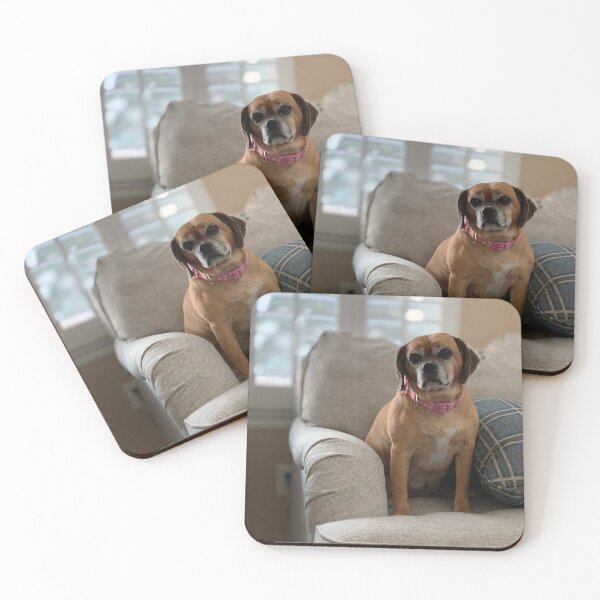 Item preview, Innocent Dog designed and sold by mahendrasingh90.