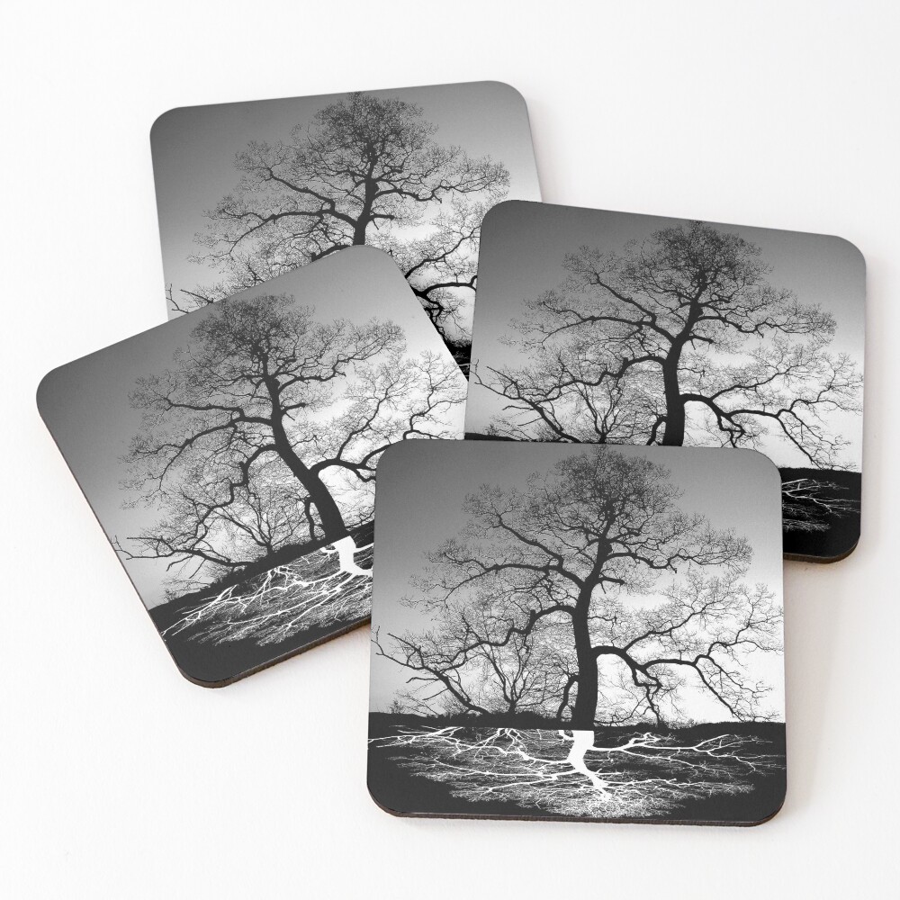 Item preview, Coasters (Set of 4) designed and sold by jgevans.