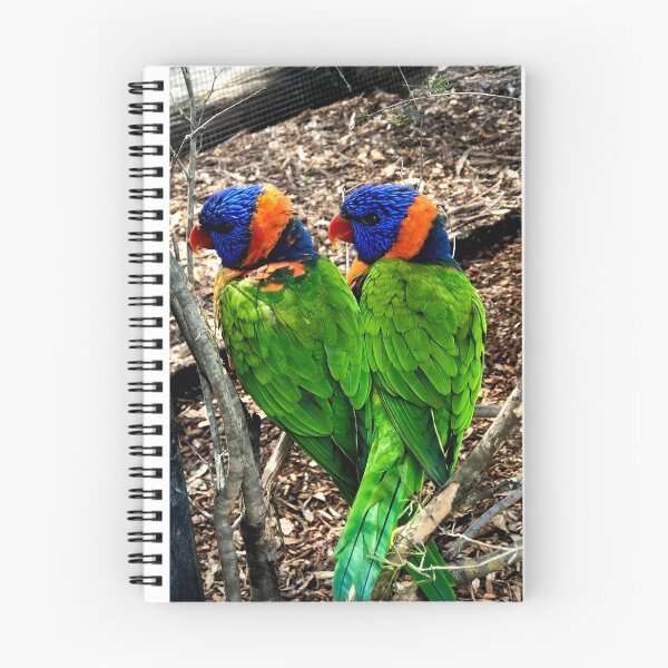 Item preview, Parrot Pair designed and sold by KazM.