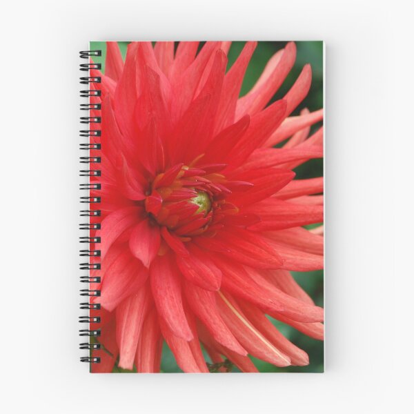 Item preview, Full Bloom designed and sold by Geraldine Miller.