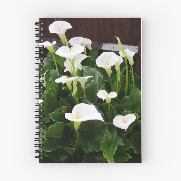 Item preview, White lilies designed and sold by TreacleDesigns.
