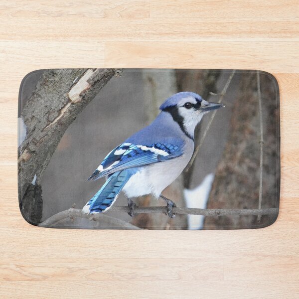 Item preview, Blue Jay on a Branch designed and sold by ReneeKennedy.
