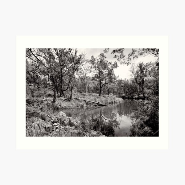 By the Creek - Crows Nest National Park - Australia Art Print