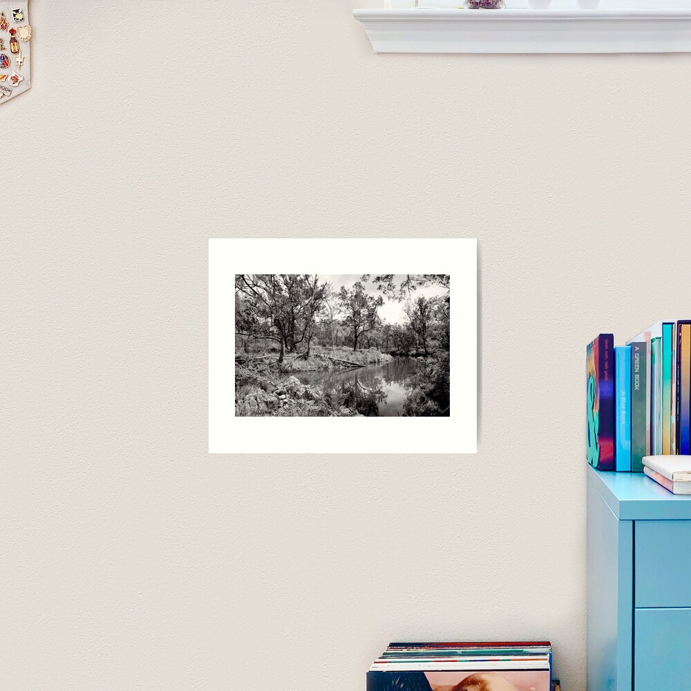 By the Creek - Crows Nest National Park - Australia Art Print