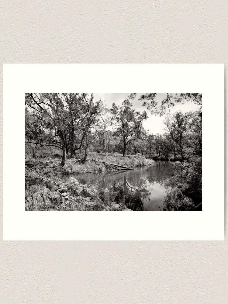 Alternate view of By the Creek - Crows Nest National Park - Australia Art Print