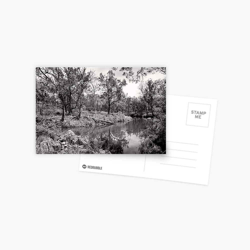 By the Creek - Crows Nest National Park - Australia Postcard