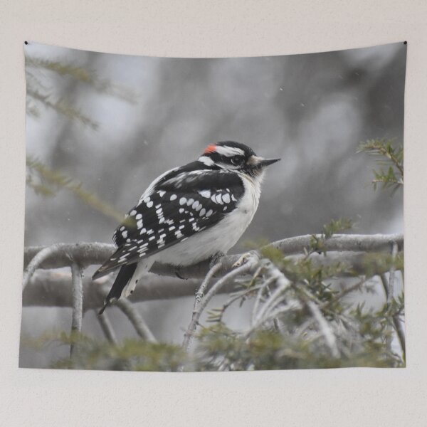 Item preview, Downy Woodpecker designed and sold by ReneeKennedy.