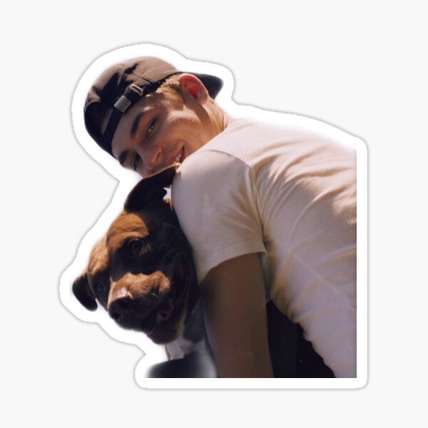 HERO FIENNES TIFFIN Sticker