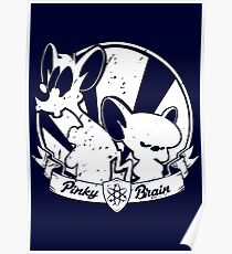 Pinky & The Brain Poster