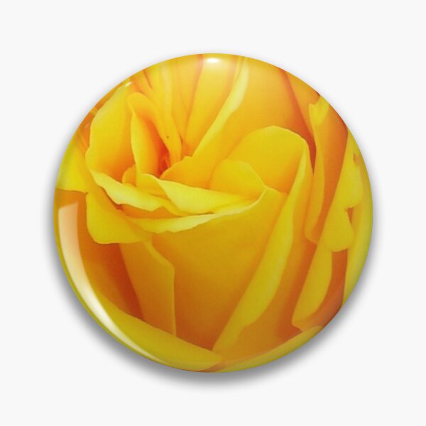 Item preview, Beautiful Yellow Rose Closeup Photograph designed and sold by taiche.