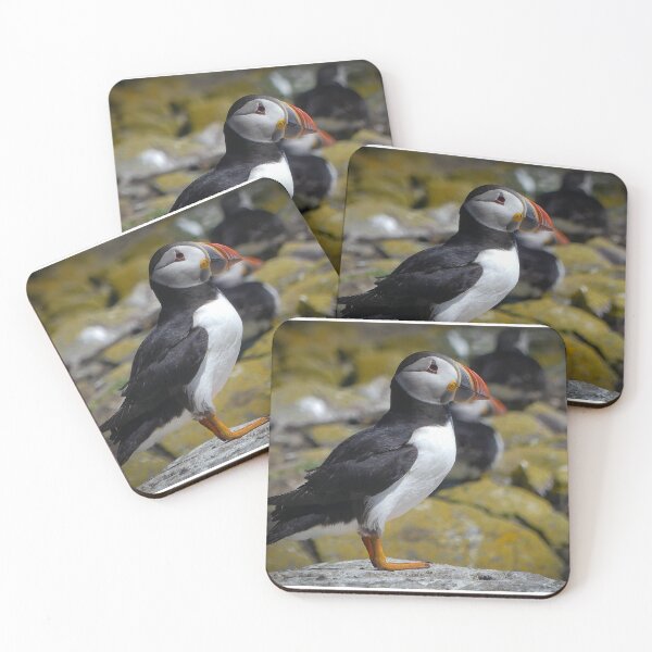Item preview, Farne Island Puffin designed and sold by David Vincent.