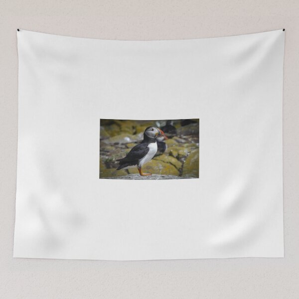 Item preview, Farne Island Puffin designed and sold by David Vincent.