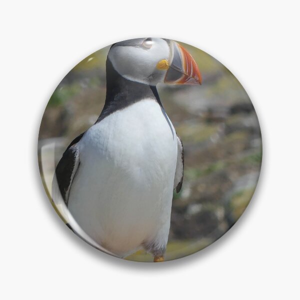 Item preview, Farne Islands Puffin designed and sold by David Vincent.