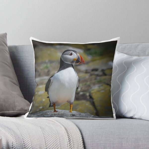 Farne Islands Puffin Throw Pillow