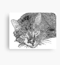 Lienzo metálico Gato festivo