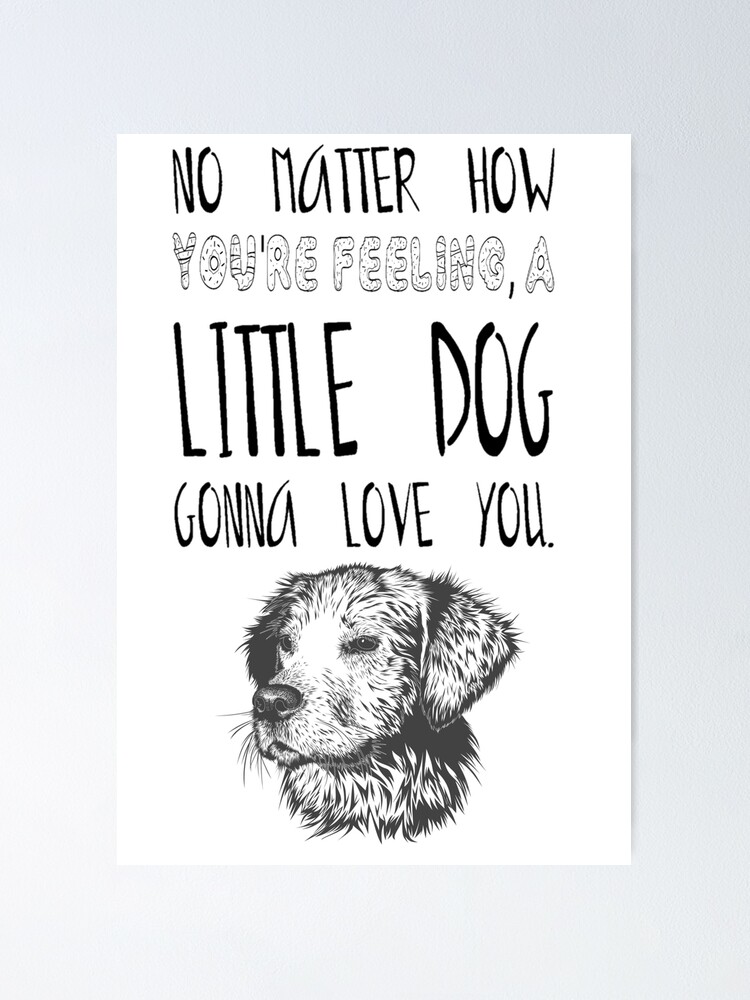 Cute Dog T-Shirt, No Matter How You'Re Feeling, A Little Dog Gonna Love  You, Best Gift To Your Mom, Pets T-Shirts, I Love Dogs, I Love Pets