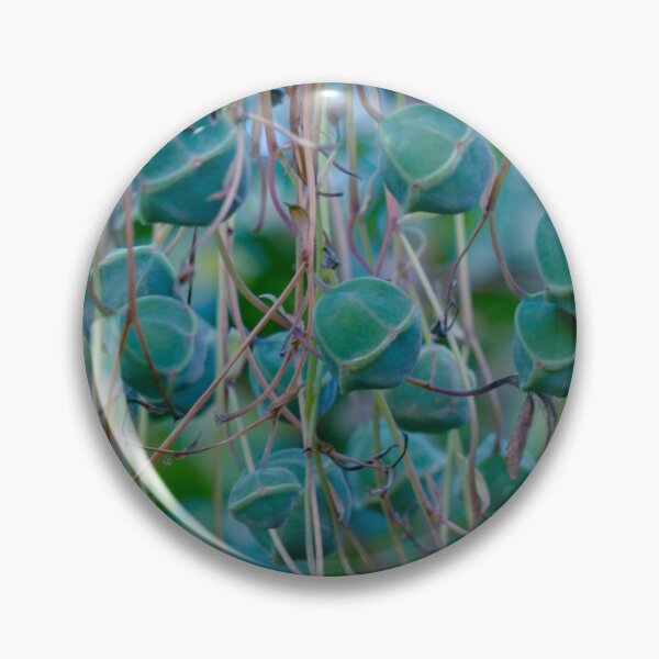 Aperçu de l'œuvre Mignon succulent créée et vendue par bunlinked.